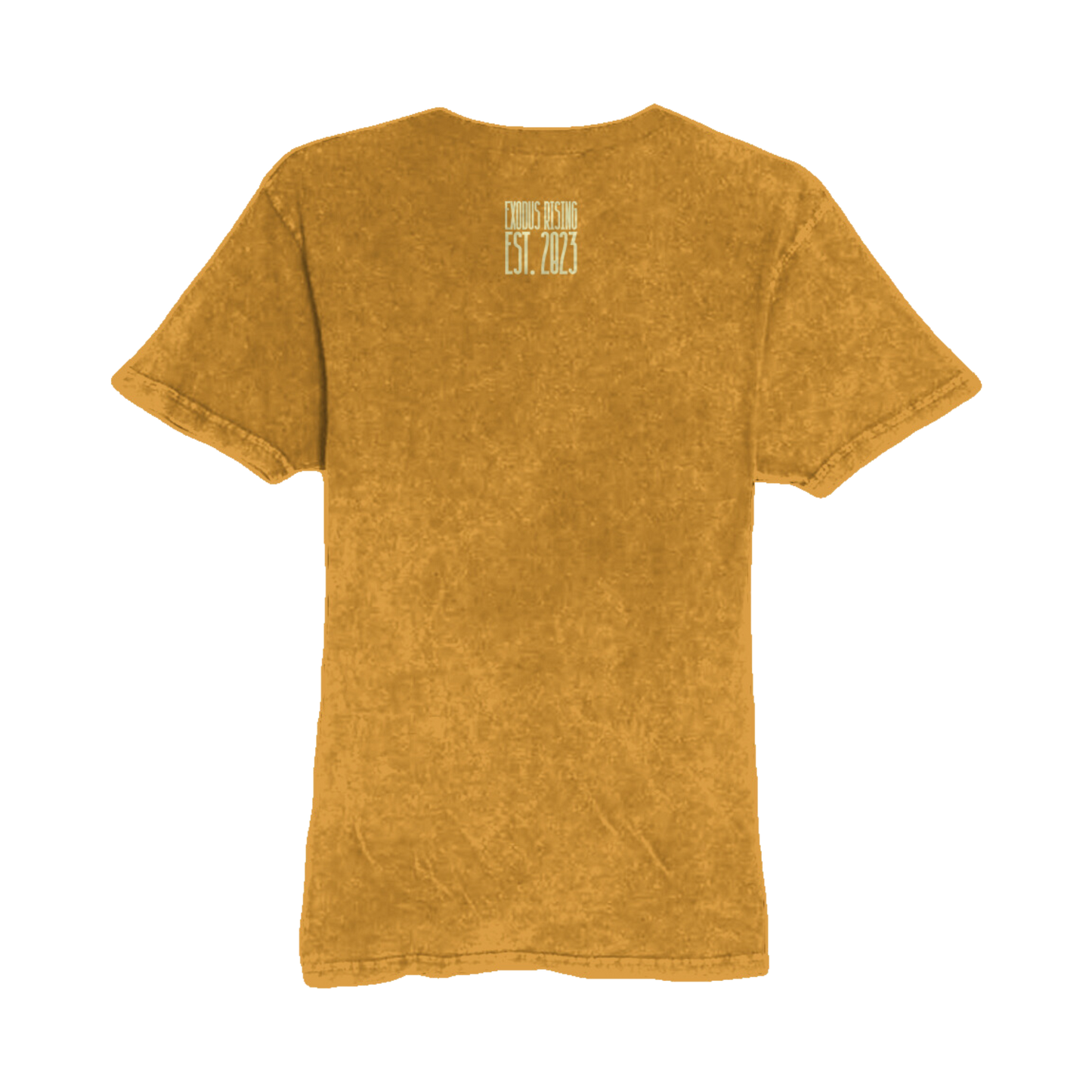 UNISEX NEW JERUSALEM VINTAGE TEE