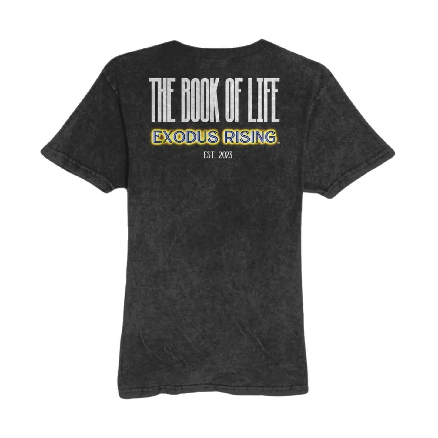 UNISEX THE BOOK OF LIFE VARIANT #1 VINTAGE TEE - ACID BLACK